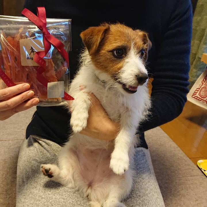 E69d44e3 7497 44e0 ace0 17c900814d9a 1577668071475