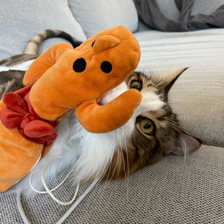 E69d616b ec79 4a92 91a2 88e26ea6b8d1 1659390637687