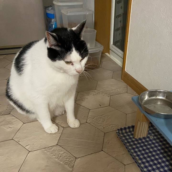 E69d8691 46de 4f9d bef4 62845d783716 1600772819264