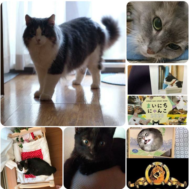 E69e05c0 c0ec 48dc bcae 2473a80a20c1 1568716296123