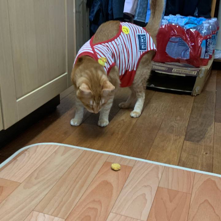 E69e3189 4d44 4785 b913 4b0f784fb9e9 1584873120353