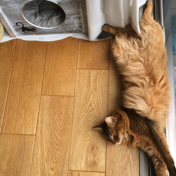 E69e5d83 2f6a 4552 b095 58eeea9707ef 1622446335506