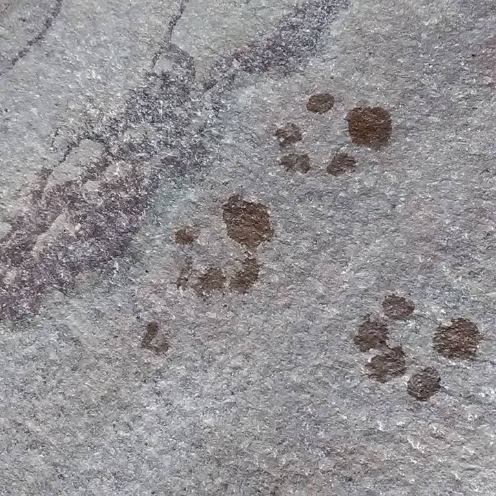 E69e6327 4510 4806 b14d afb739c8ffe1 1649576984343