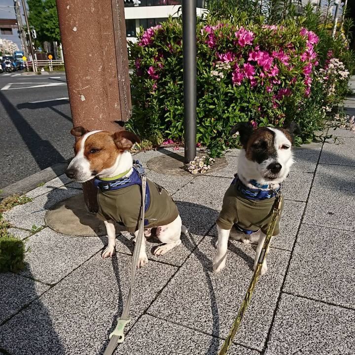 E69e750a bdc3 486c 9d19 89e9349ccd5f 1588889114175