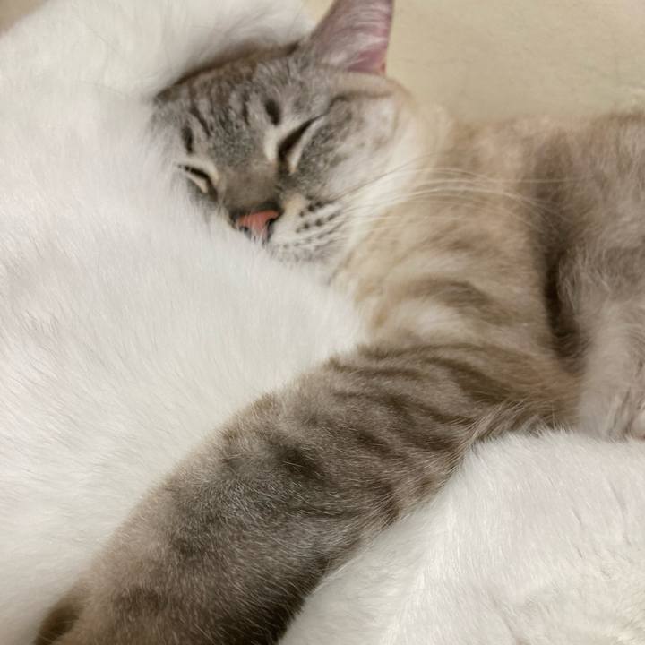 E69ea28c efea 456f 9cf4 2d558690356b 1674488332614