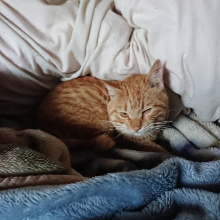 E69ec290 ecfd 4a15 8038 169ea1857bdf 1650147213002