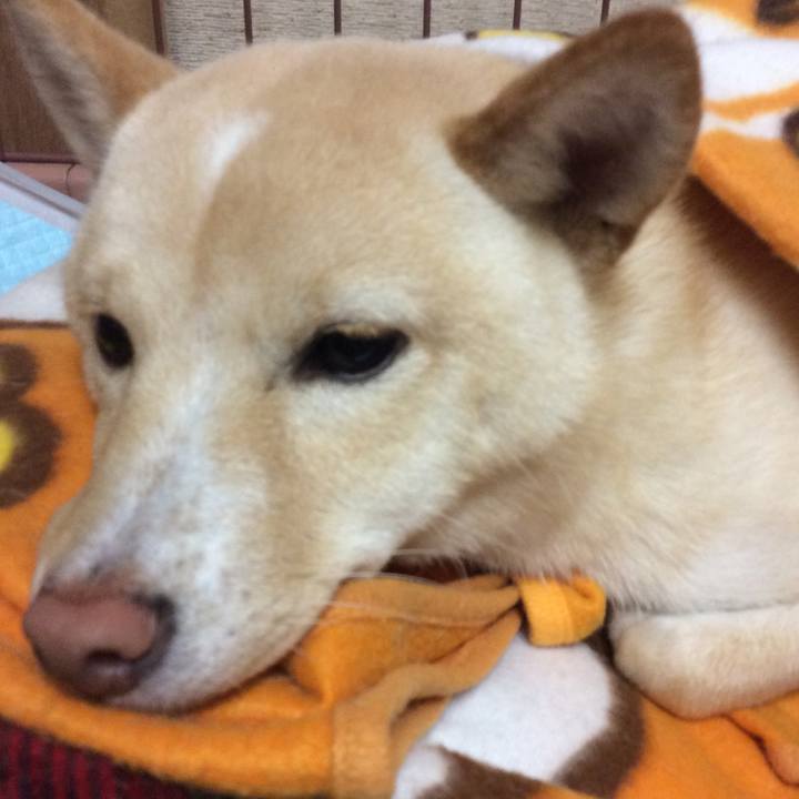 E69ed18a 08d5 4f94 8f4f 503317403591 1510147196339