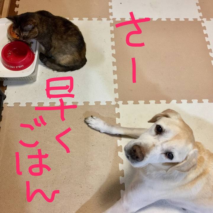 E69f027c 0948 47fb b8f8 cb1ac438d480 1561983456870