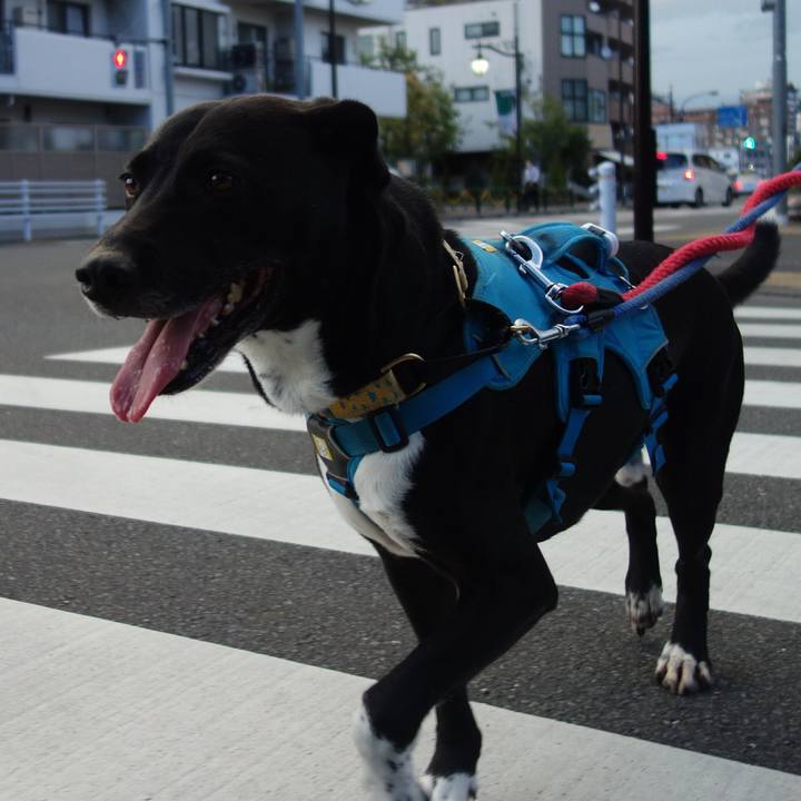 E69f02cc c45f 4ad3 b8ed 0330246e99d4 1627052770718