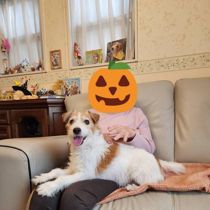 E69f1989 e5bc 4543 ae5e 670f608664f8 1760320097829