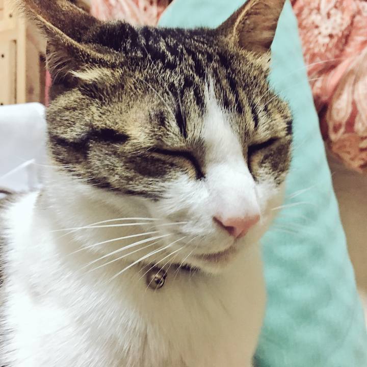 E69f3432 3464 43de b1ec e392db88c95d 1523017942613