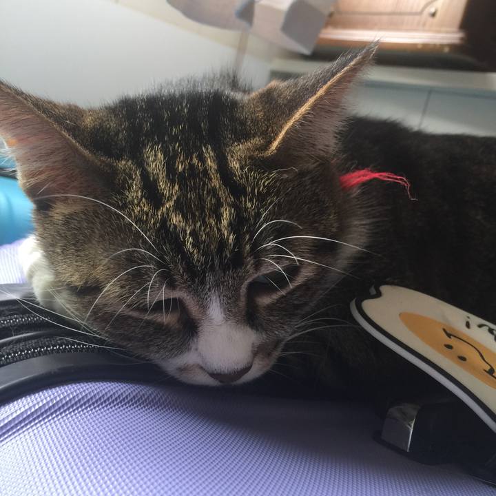 E69f395c eeaa 48cb ad86 6832db4f56b6 1569199847813