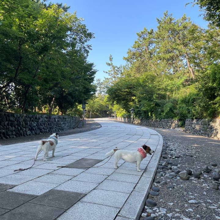 E69f7031 bf95 459f 88be 4c39d0466ebb 1690325954984