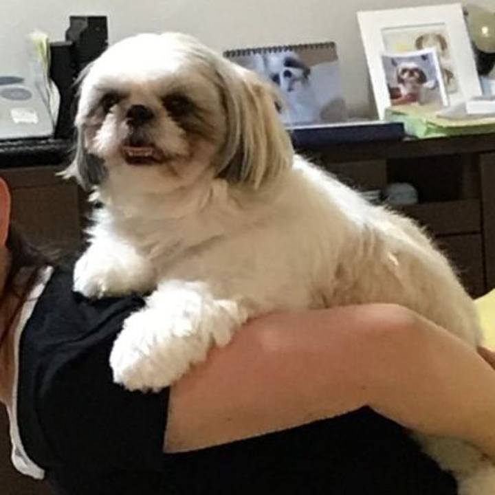 E69fa027 c451 43b1 9762 7e616733636d 1562253630618