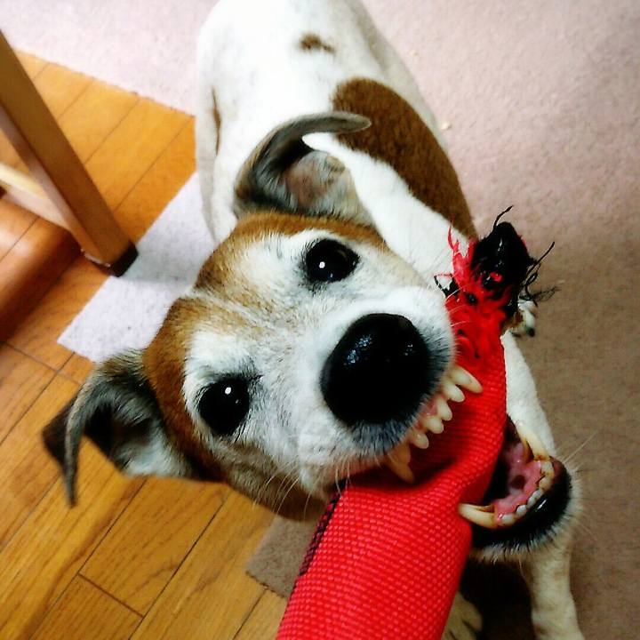 E69ff1a4 e565 4a15 93ff 9acb51d8de91 1521378284867