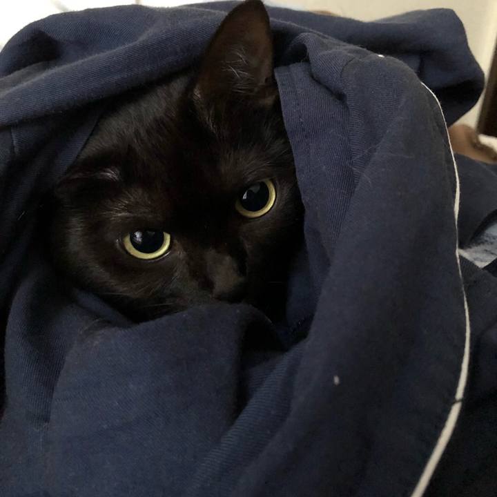 E6a0077e 2335 4c99 a375 480e6316b013 1539919725535