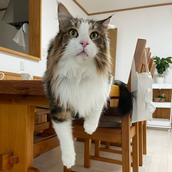 E6a06f85 b771 48c1 ac75 f81c97398c56 1694808429928