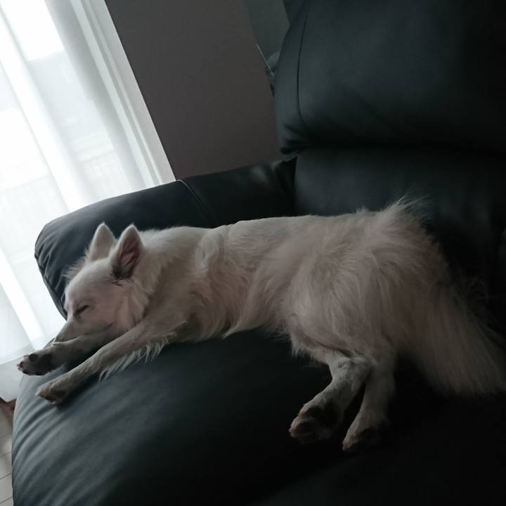 E6a07b7f 16bf 4d27 a535 4ce21cf14754 1523522318985