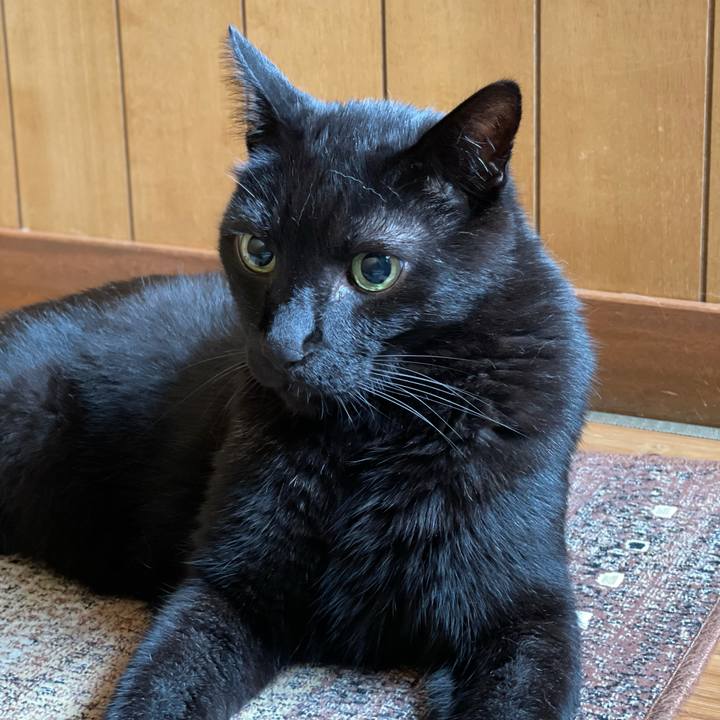 E6a082ab 514d 4909 a601 e2c996df2830 1629330628503