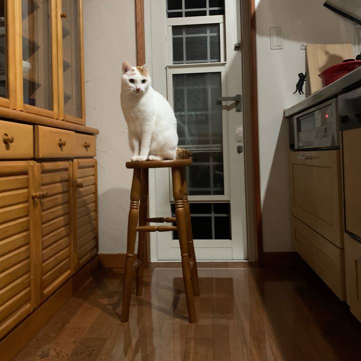 E6a0c783 ea7a 4145 bc87 94c28d13ac8c 1643836956475