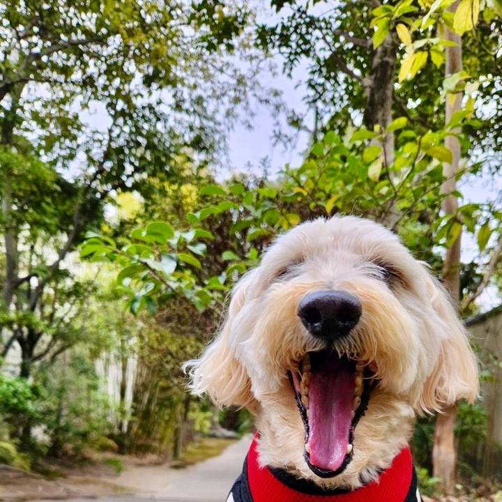 E6a0d4be 860a 4fcc b379 556d8095de70 1773815133628