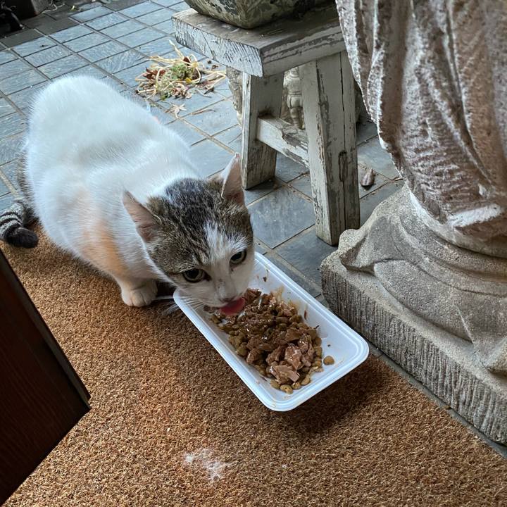 E6a12d7d 1db6 4726 a01f 64e07cac88b9 1581894090489