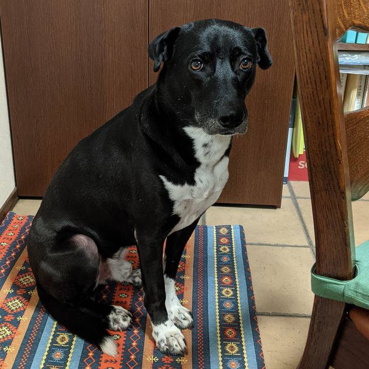 E6a13046 26c7 4827 a360 c8bb6646983d 1632527112654