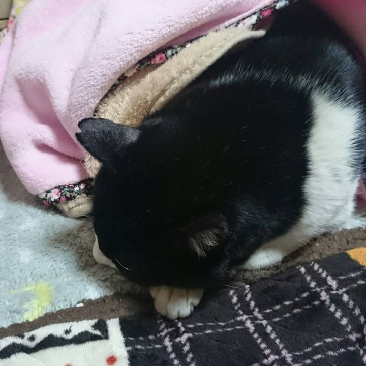 E6a14c40 e172 40e9 8da8 297b22a868a6 1516105649488