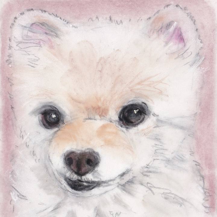 E6a158d3 b40a 41c0 b379 baab285f69ef 1742298220988