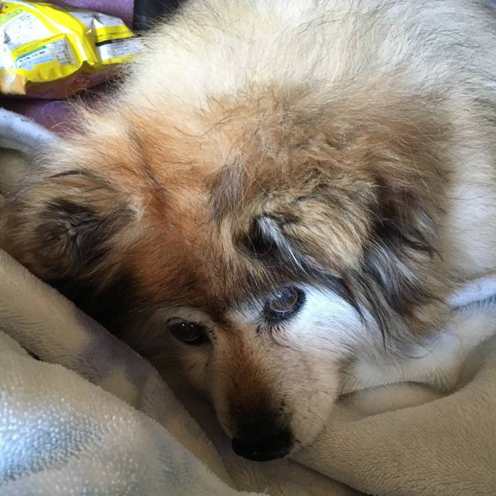 E6a16b55 785a 4540 b748 038a55b8fe95 1602910274612