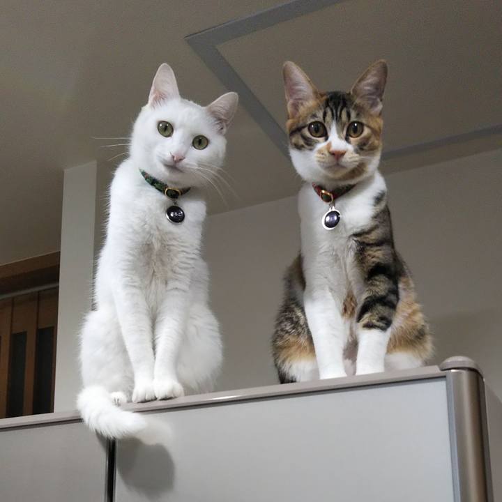 E6a1a313 fc82 48e6 9025 9989ae89eaf5 1640385961250