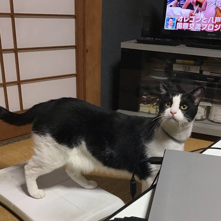 E6a1b099 393a 47bc ac8c 99129f01ea14 1696244589357