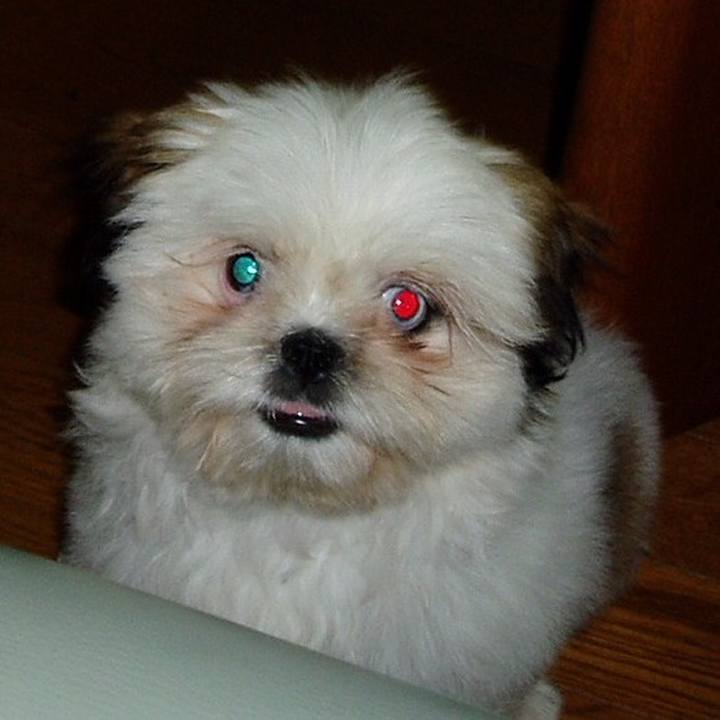 E6a1c376 e7be 4ea7 874c 457977def013 1539415317744