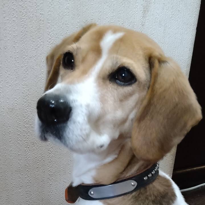 E6a1c68d 7c53 483c 8a38 81455d9b1a42 1644147739146