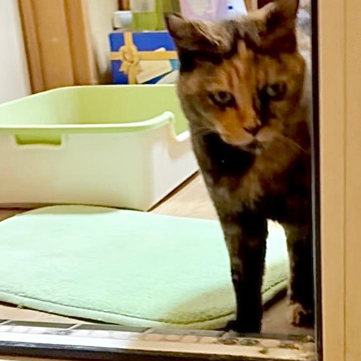 E6a1c754 dc38 4e05 8aab 5577829c819a 1760387060216