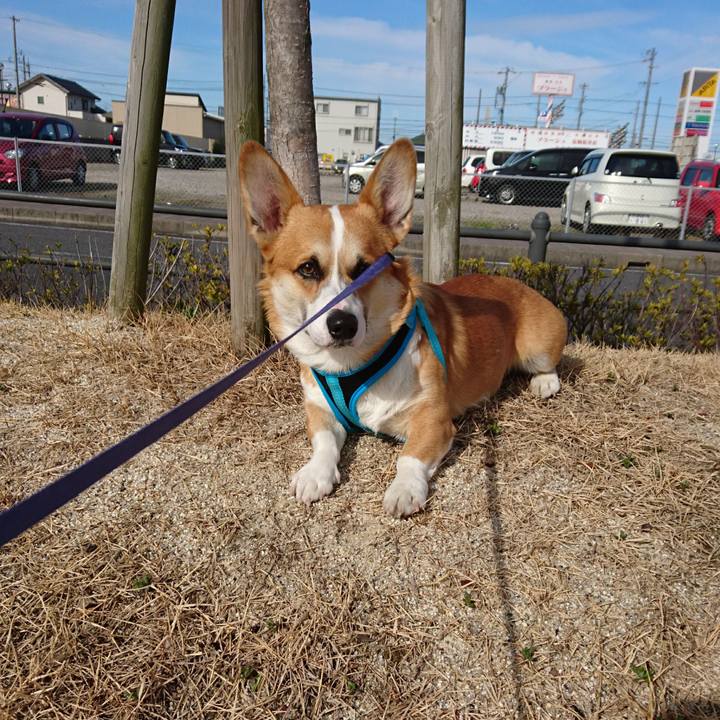 E6a1d502 a168 4479 a1b1 c6317a8cf337 1583897023143