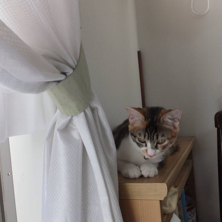 E6a1f026 7286 490e be70 cdffedbcdd0a 1632105781260