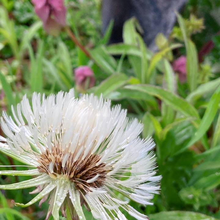 E6a1fc8e df39 4839 9831 46f88dfad352 1587547924799