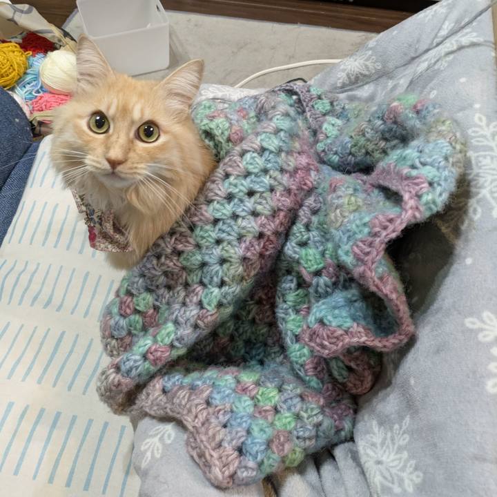 E6a2087f 52cd 4726 8949 7ccac31d5dac 1765024525632