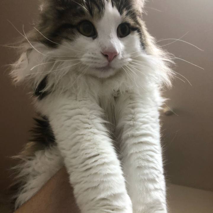 E6a22188 d1f3 4ef6 a918 a463ad0490f2 1551364356745