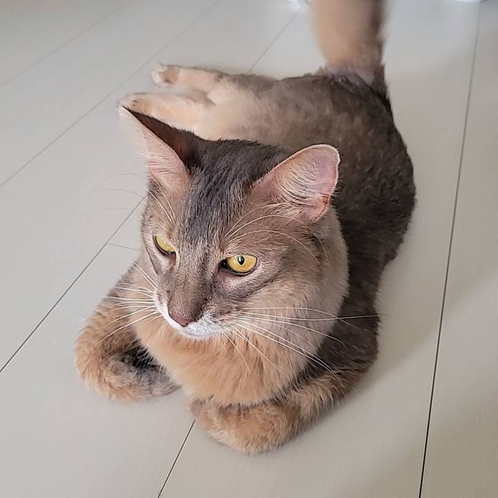 E6a276f2 d808 4267 9cd5 79d0fceef5e7 1691491709214