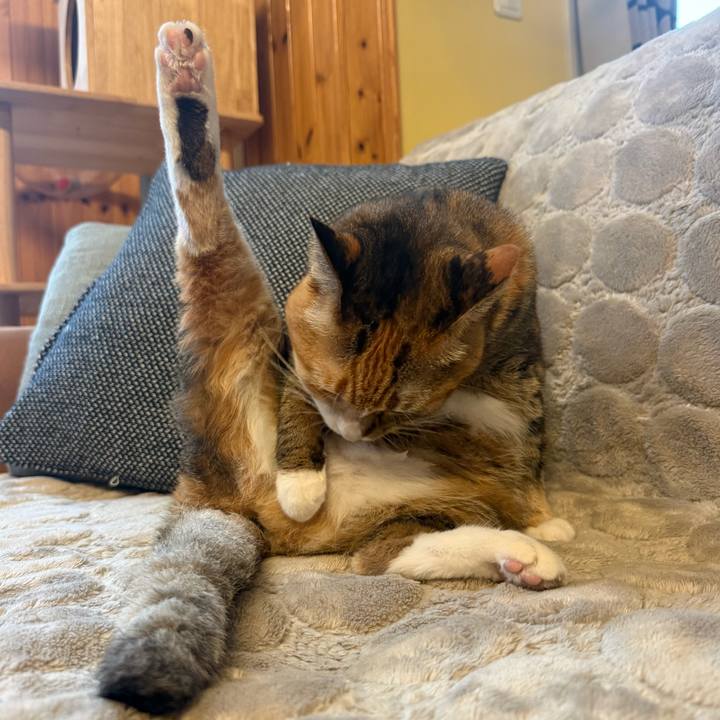 E6a29bcd 5762 4475 a893 2647d1714b3f 1761434078445