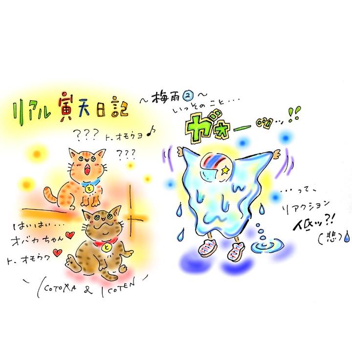 E6a2a79f ce2f 4d62 a355 e5a3f844276e 1594753516224