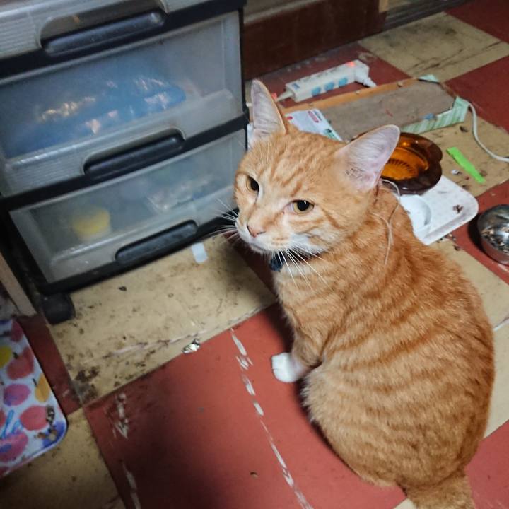 E6a2a813 14ac 4c34 82ba 76831a88cfea 1565639682086