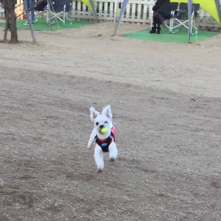 E6a2c73f c032 49f0 9902 e47bdb15f135 1515586229992