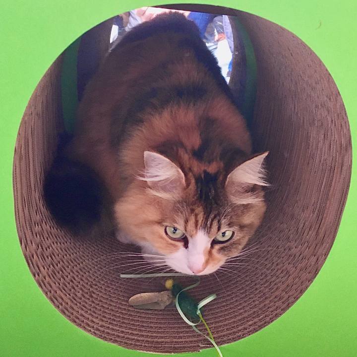 E6a2e37a 57eb 4eb7 ba3c eba35d412eaa 1580474384643