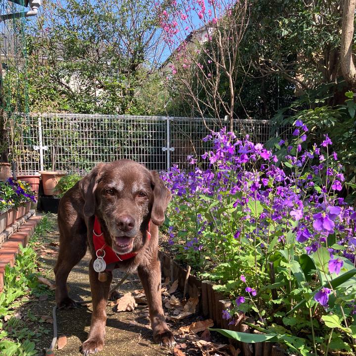 E6a307bf 1808 4923 91be c66bc7ddd62f 1774948037798