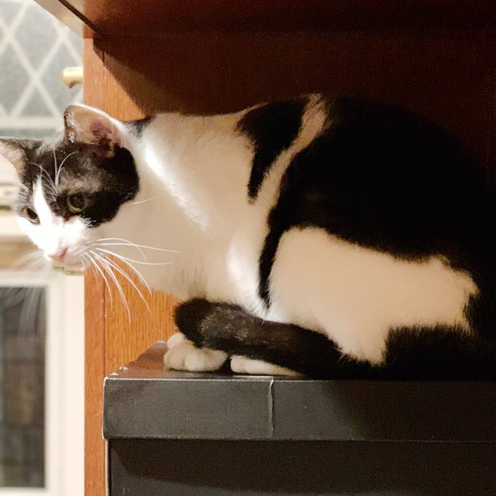 E6a3466e b532 4120 826a c31a3ed2b6aa 1540521987936