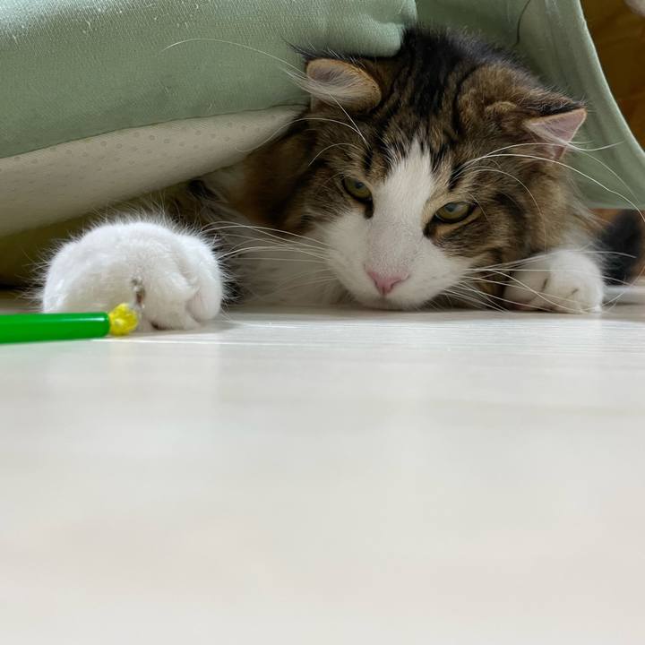 E6a3566b 636b 4f15 8781 a00f64d92679 1643059995766