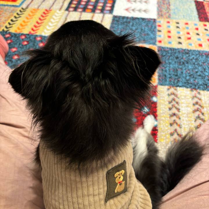 E6a35eb1 c0bd 43b3 8581 b681474238bc 1732378281064